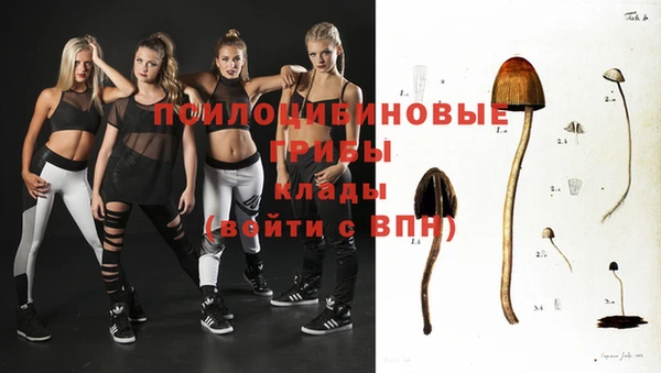 МДПВ Волоколамск
