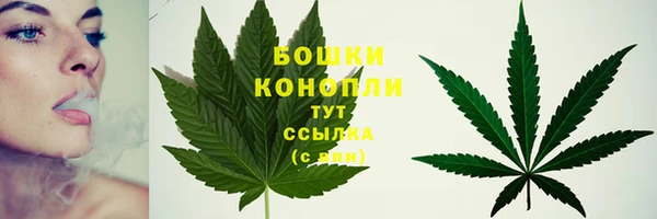 МДПВ Волоколамск