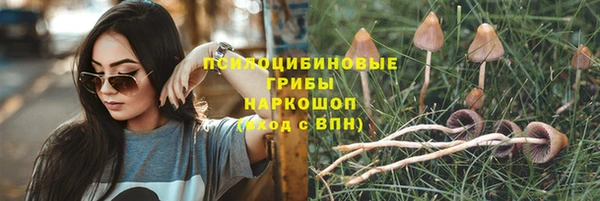 МДПВ Волоколамск